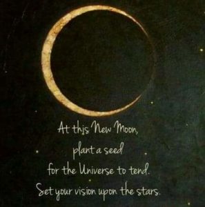 New Moon 